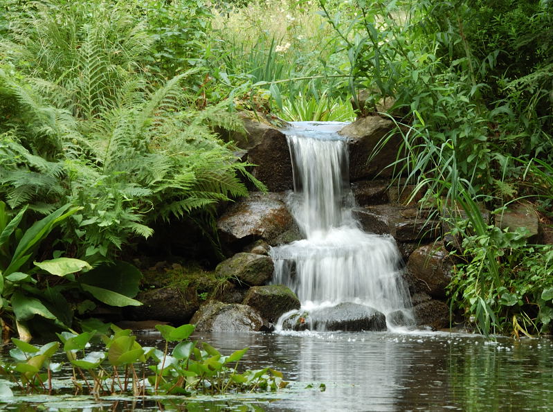 Kleiner Wasserfall Bontanischer Garten Foto Bild Landschaft