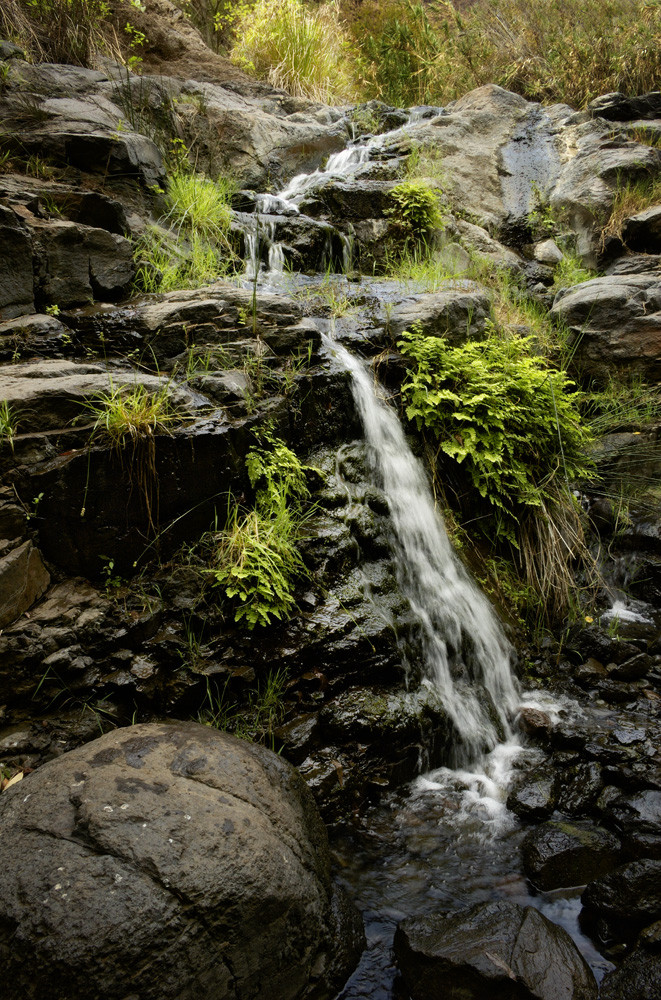 kleiner Wasserfall III, La Gomera