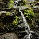 kleiner Wasserfall III, La Gomera