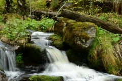 kleiner Wasserfall im Bayerischen Wald