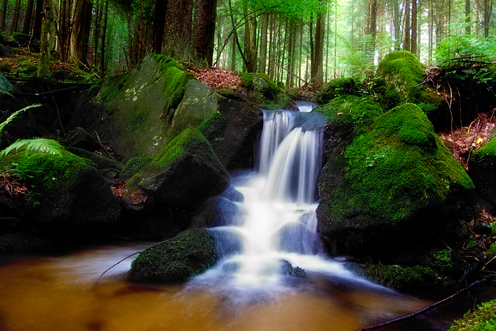 Kleiner Wasserfall im Böhmerwald