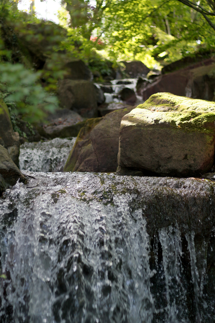 Kleiner Wasserfall im botanischen Garten von Schloss Trauttmansdorff 