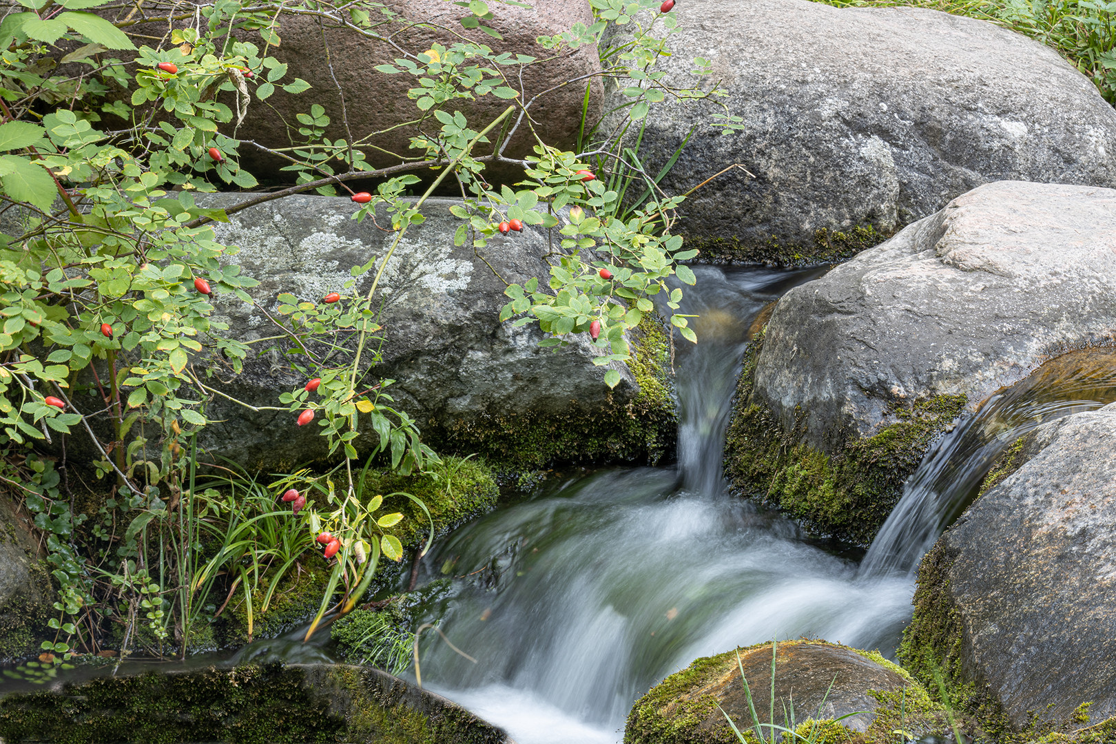 Kleiner Wasserfall im Britzer Garten