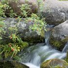 Kleiner Wasserfall im Britzer Garten