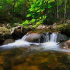 Kleiner Wasserfall im Harz