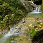 Kleiner Wasserfall im Herbst