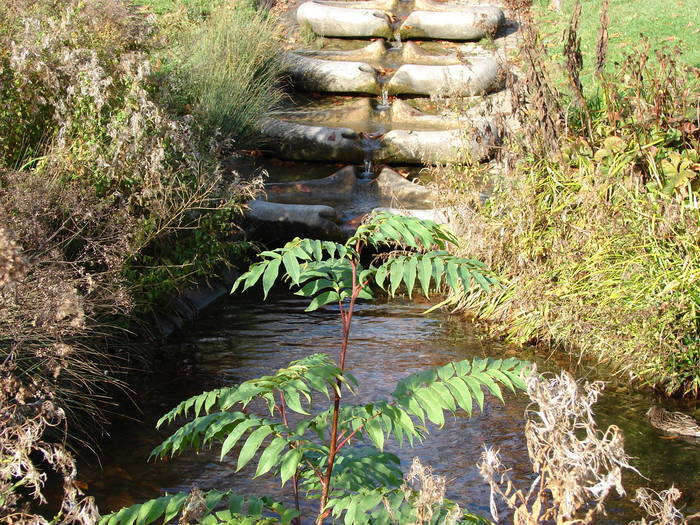 Kleiner Wasserfall im Herbst