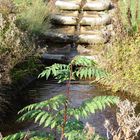 Kleiner Wasserfall im Herbst