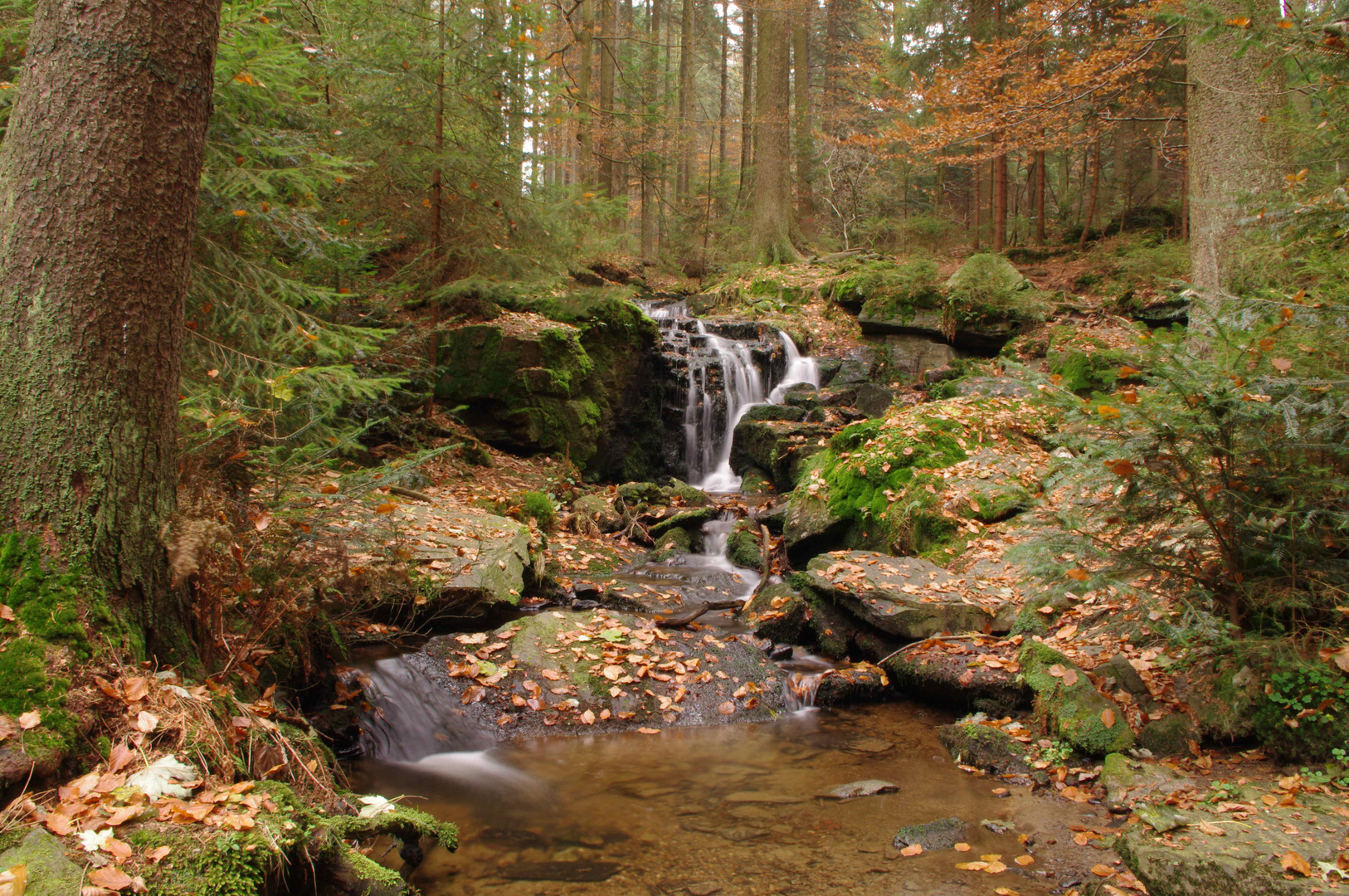 kleiner Wasserfall im Herbstwald