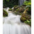 Kleiner Wasserfall im Minter Gardens