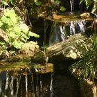 kleiner Wasserfall im Naturagart