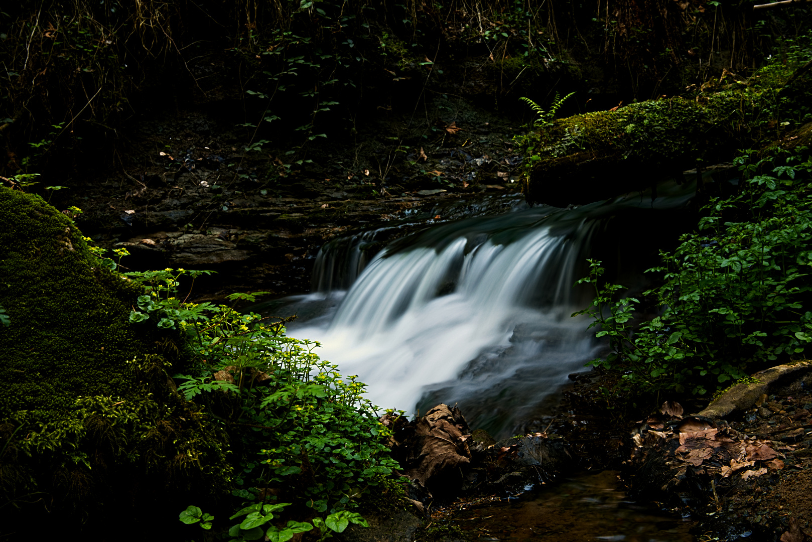 Kleiner ''Wasserfall'' im Strümpfelbachtal