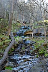 Kleiner Wasserfall im Thalenser Bodetal