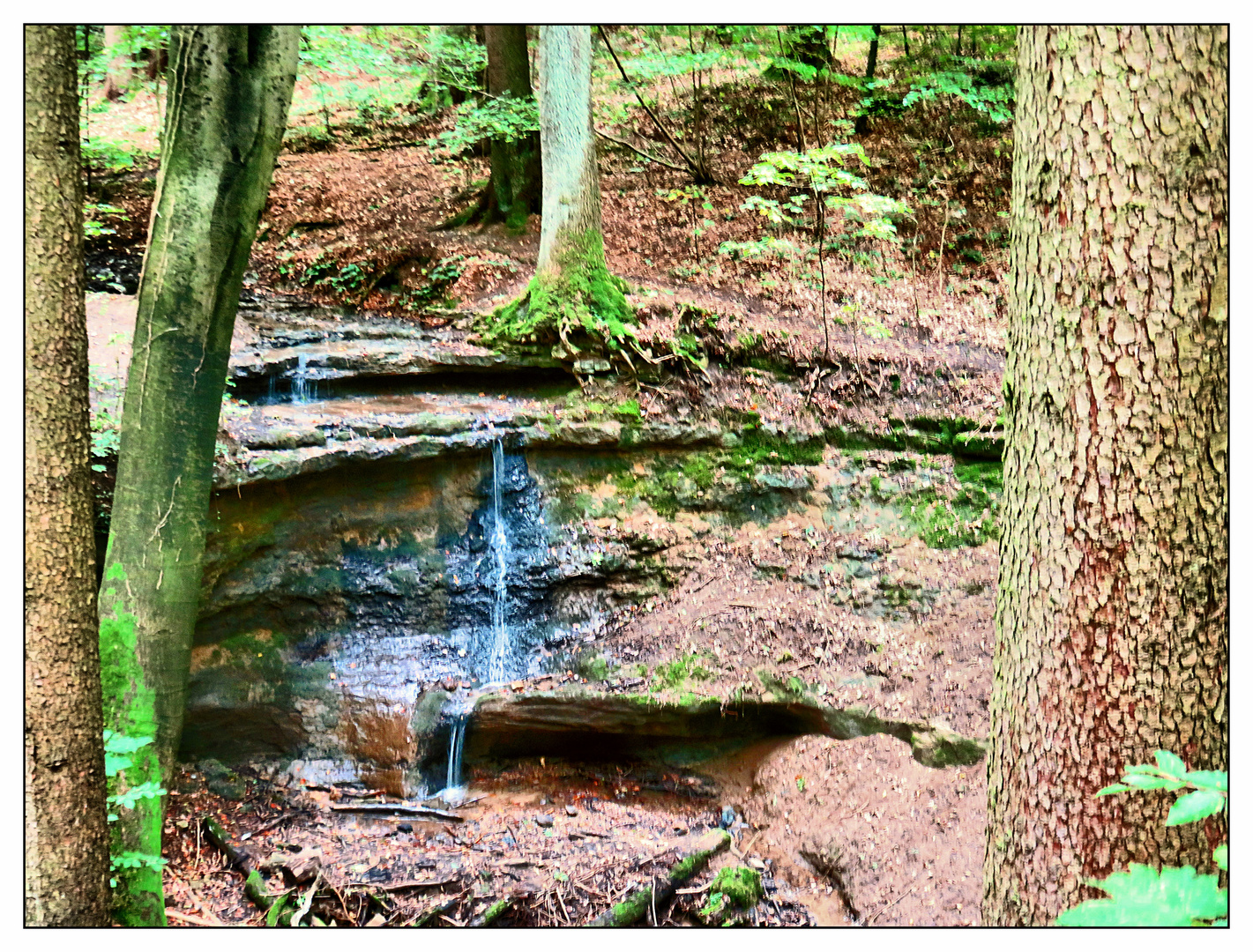 Kleiner Wasserfall im Wald