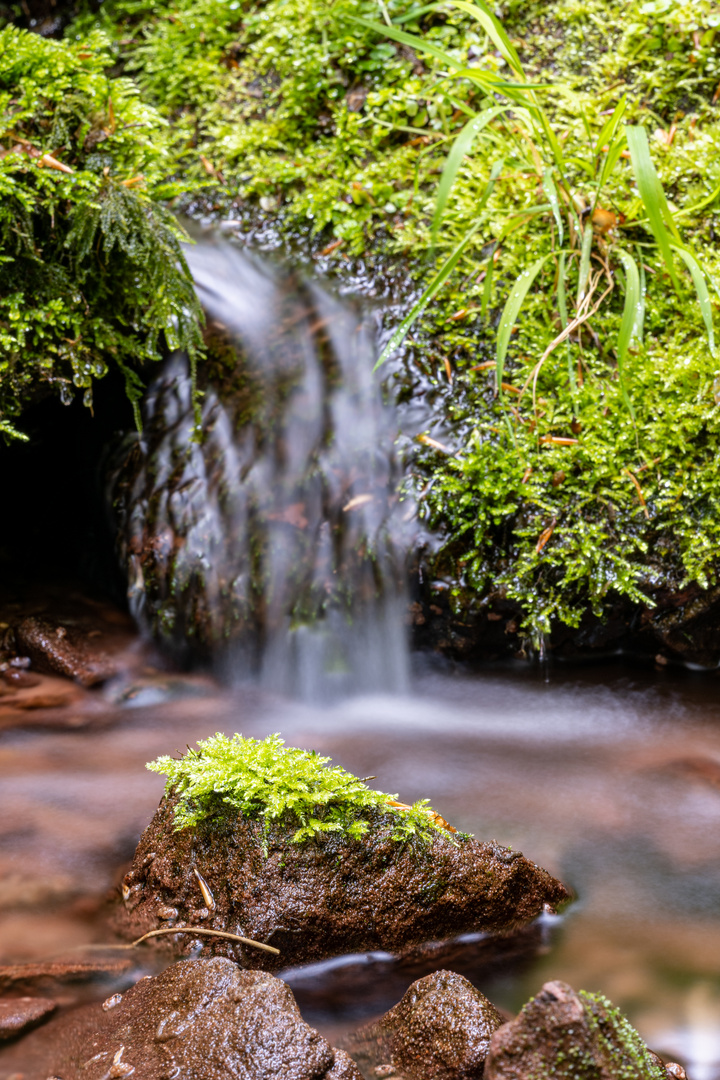 Kleiner Wasserfall im Wald mit Steinen