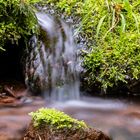 Kleiner Wasserfall im Wald mit Steinen