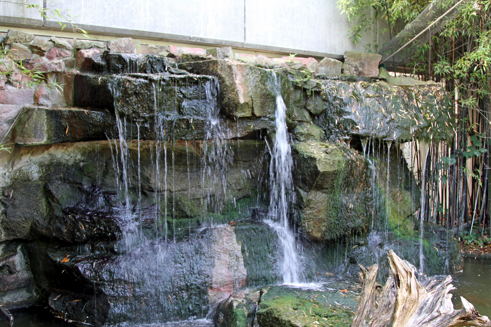 Kleiner Wasserfall im Zoo Heidelberg