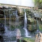 Kleiner Wasserfall im Zoo Heidelberg