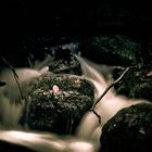 Kleiner Wasserfall in den Bayerischen Alpen