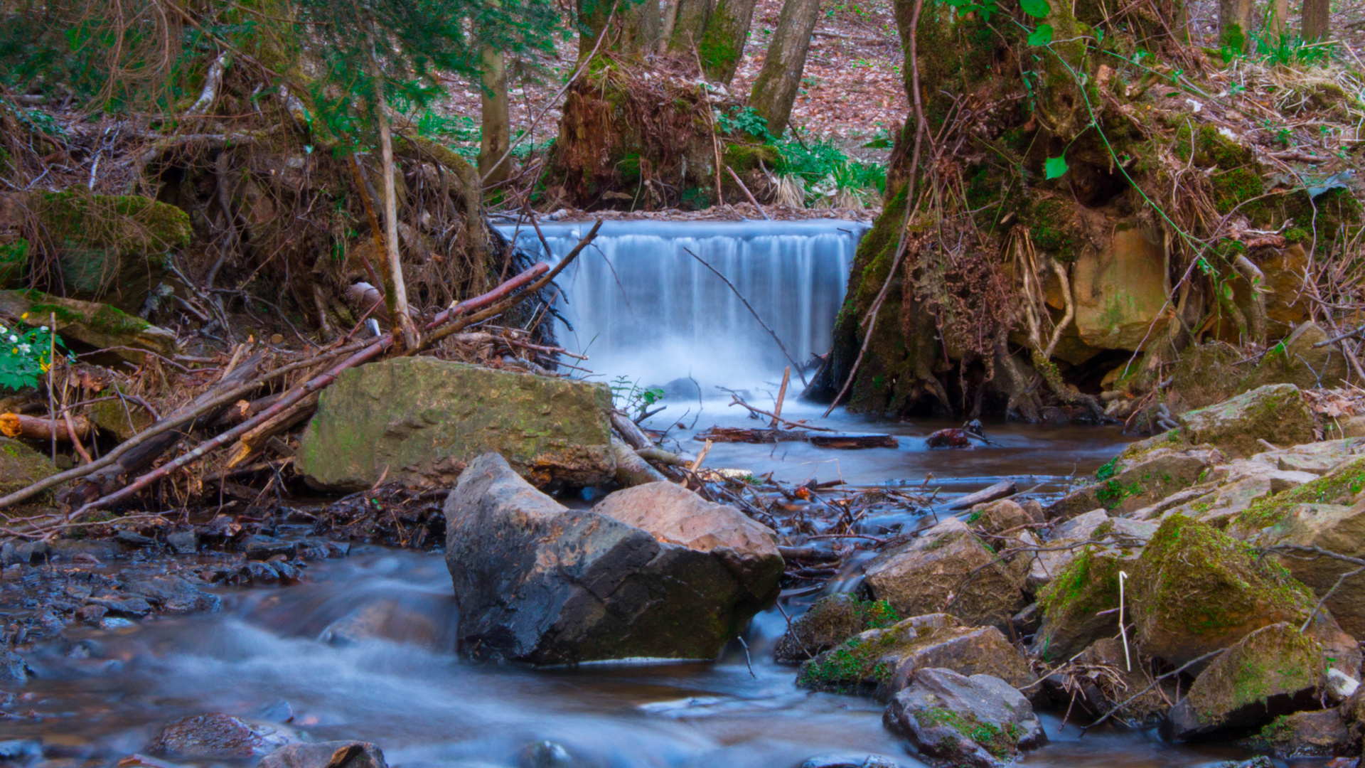 Kleiner Wasserfall in einem Bachlauf