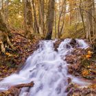 kleiner Wasserfall in Oberfranken