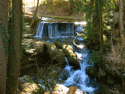 Kleiner Wasserfall in Scheidegg