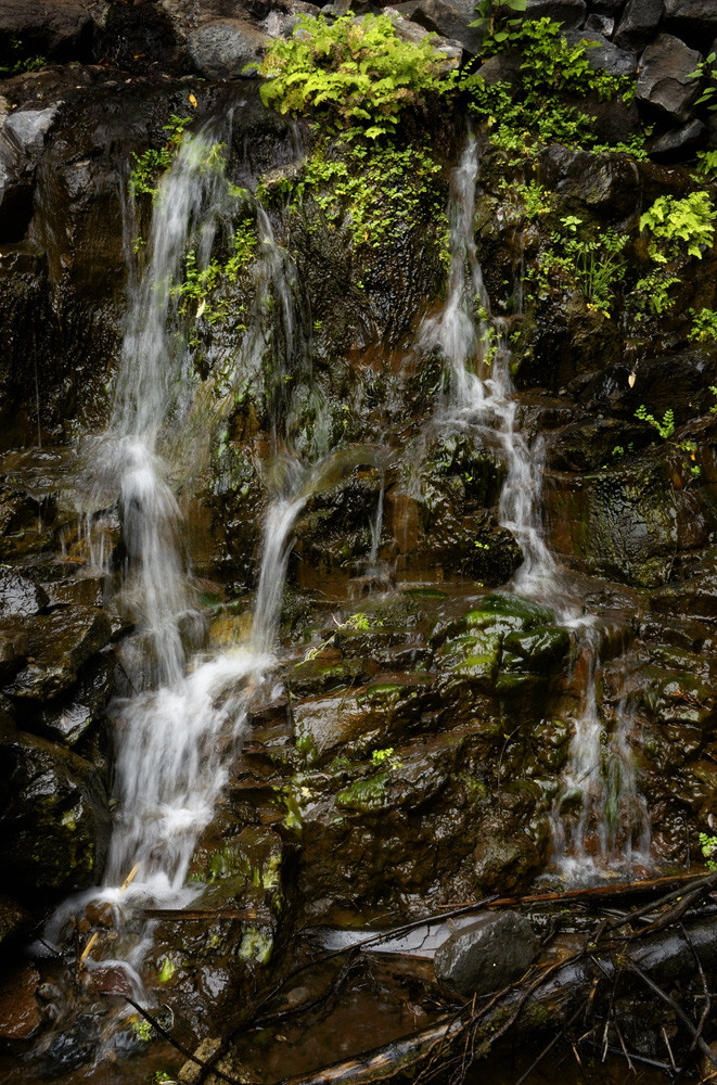 kleiner Wasserfall IV, La Gomera