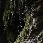 Kleiner Wasserfall mit Tiermotiv