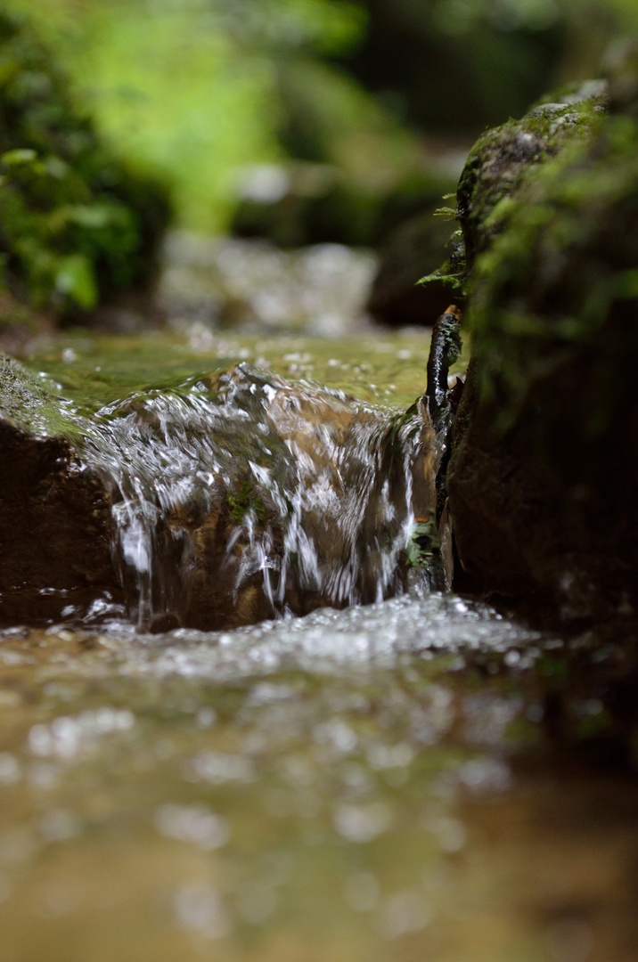 Kleiner Wasserlauf # 3