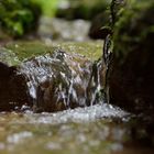 Kleiner Wasserlauf # 3