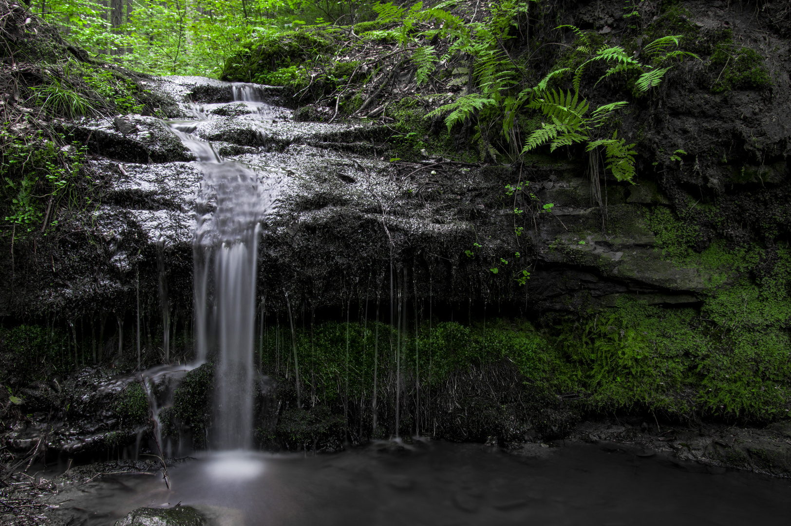 kleiner Wasserlauf