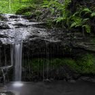 kleiner Wasserlauf