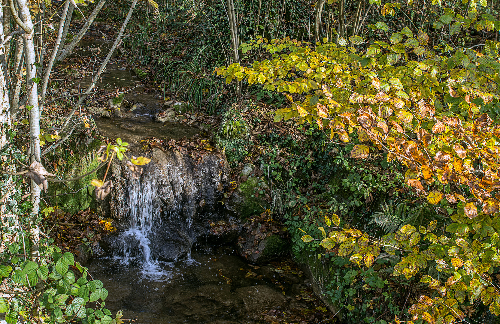 Kleiner Wasserlauf