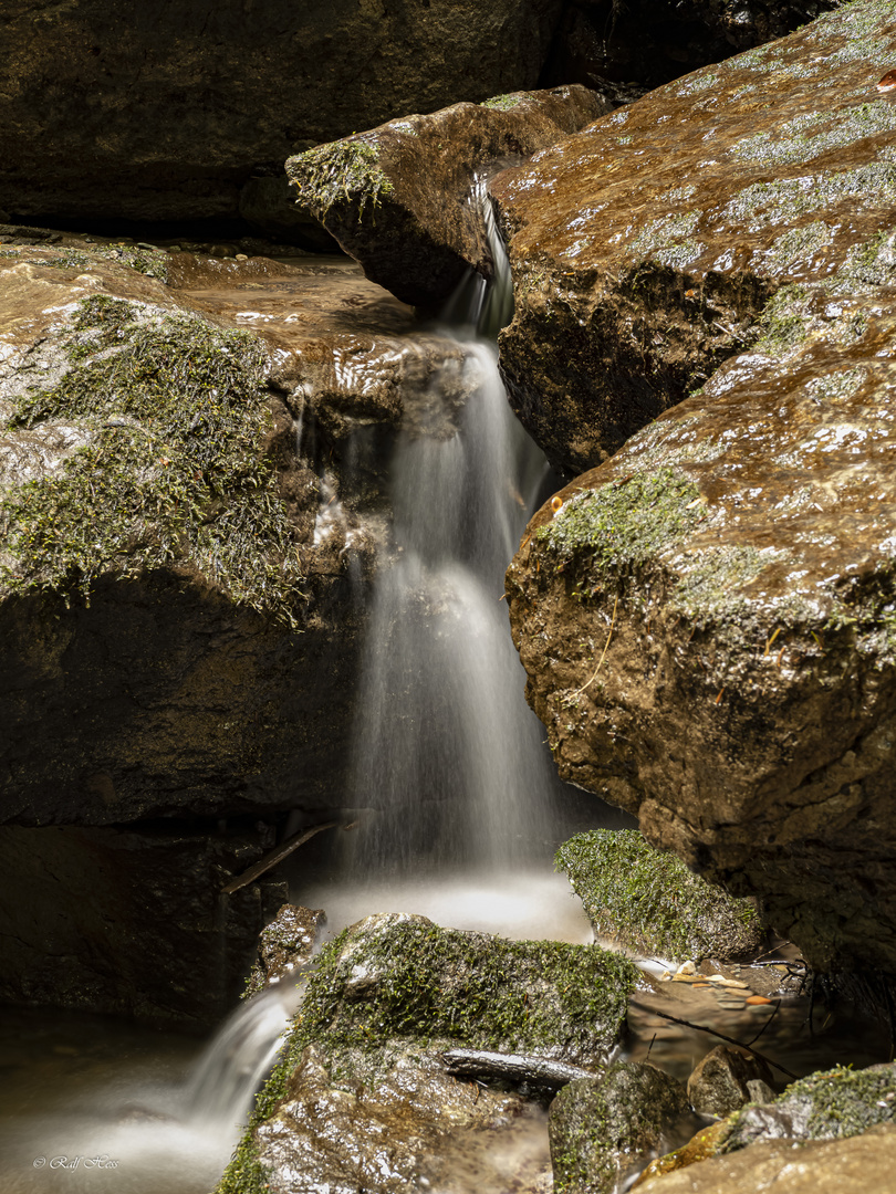 kleiner Wasserlauf