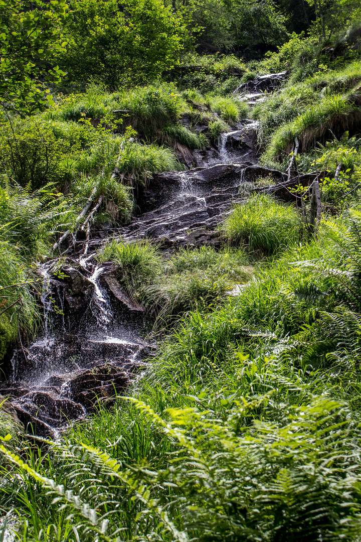 kleiner Wasserlauf in der Schweiz