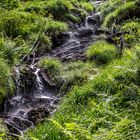 kleiner Wasserlauf in der Schweiz