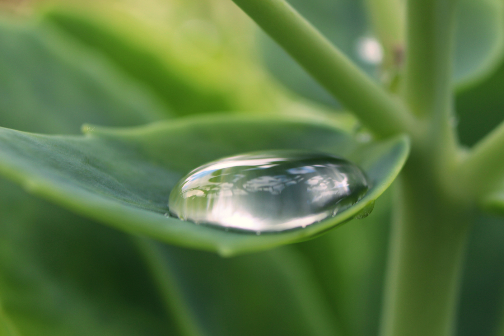 Kleiner Wassertropfen 