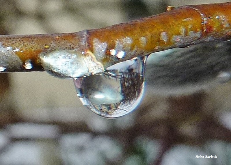 Kleiner Wassertropfen ganz groß