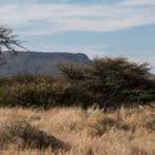 kleiner Waterberg in Sichtweite