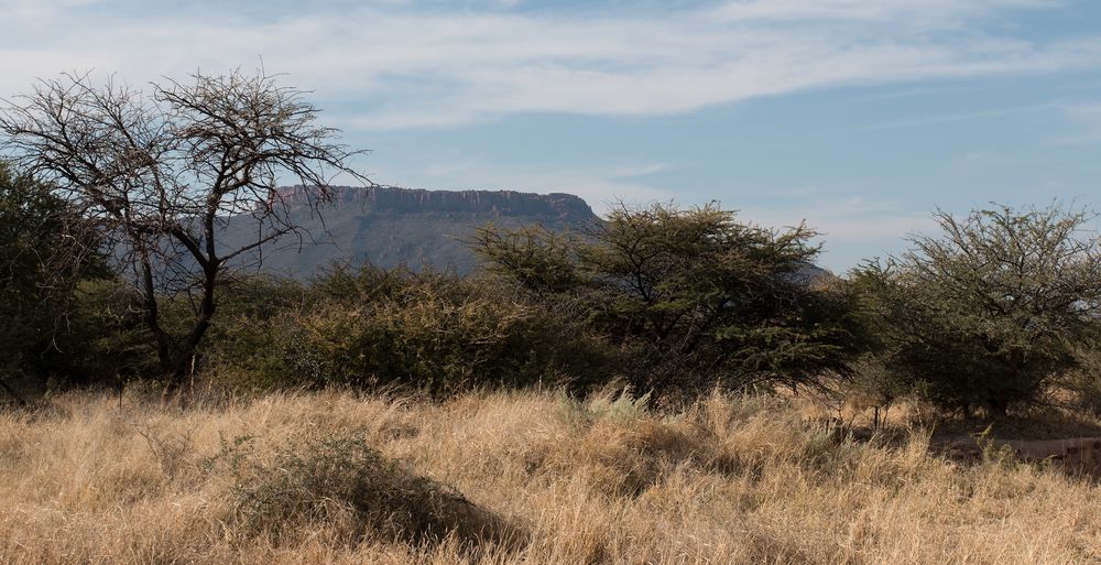 kleiner Waterberg in Sichtweite