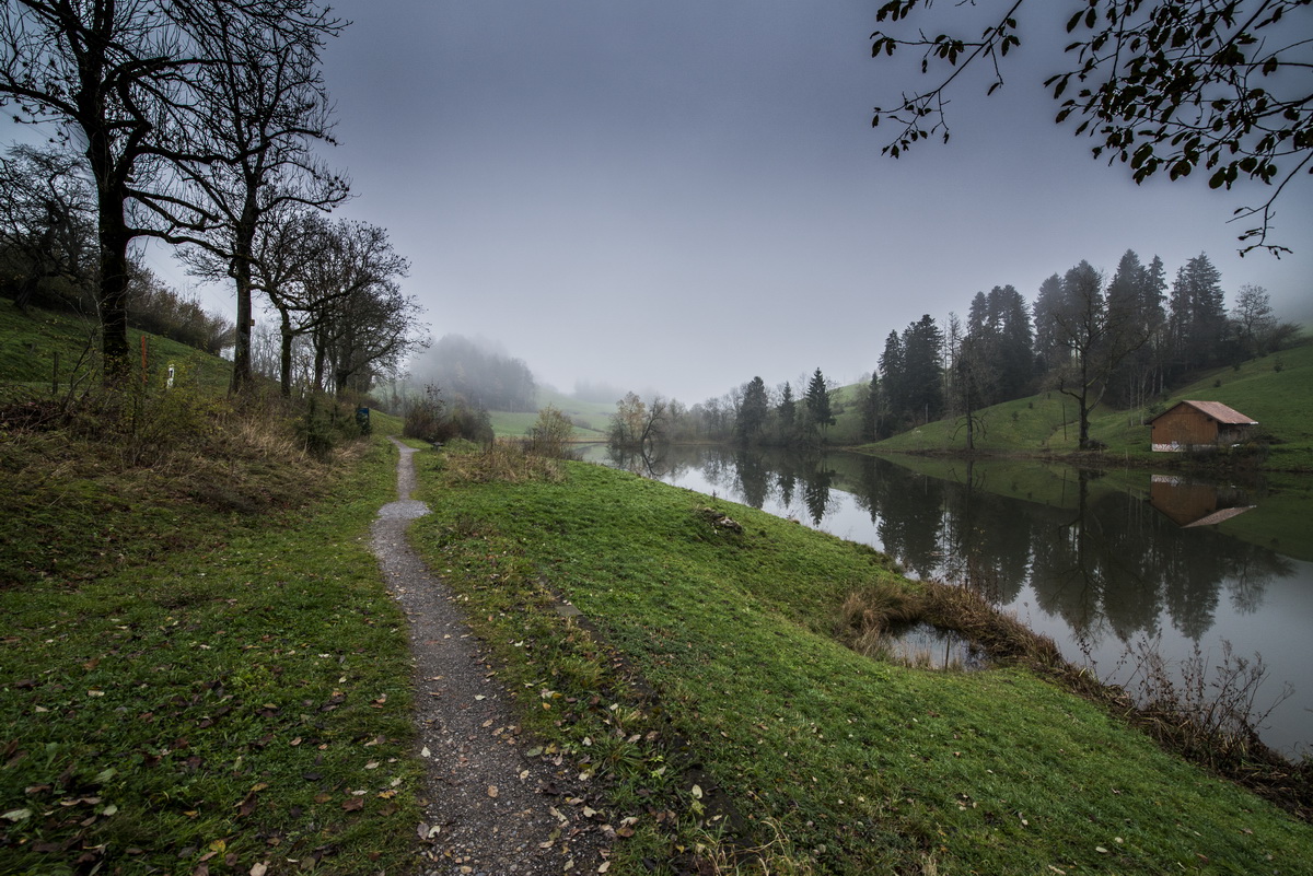 Kleiner Weg am Wenigerweiher