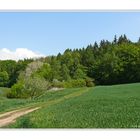 kleiner Weg in den Frühling