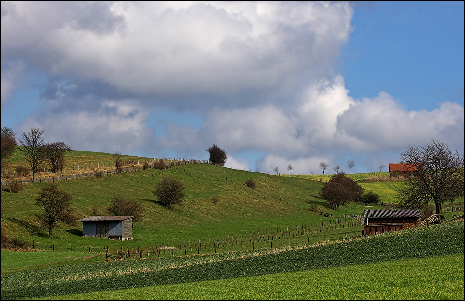 kleiner Weg und viele Zäune