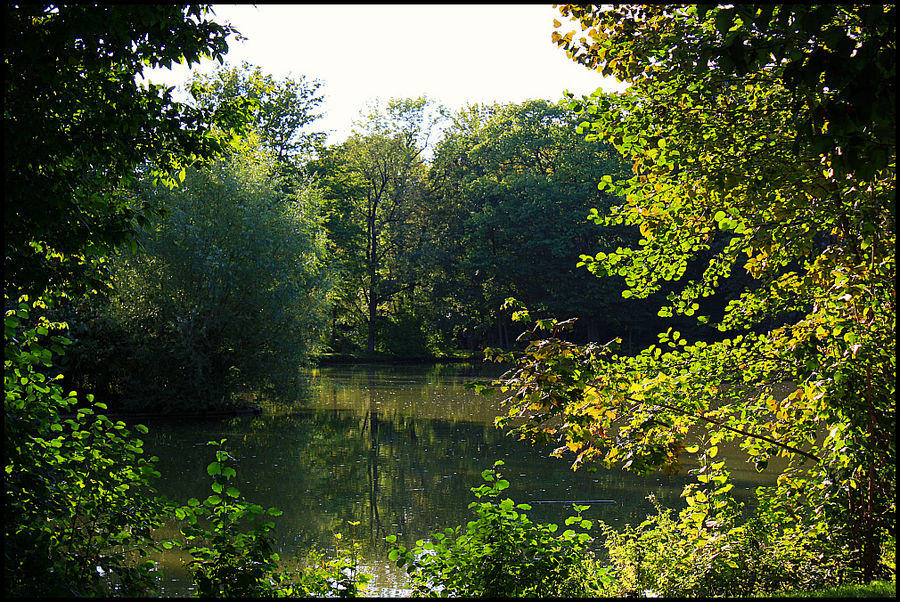 kleiner Weiher