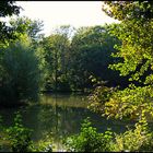 kleiner Weiher