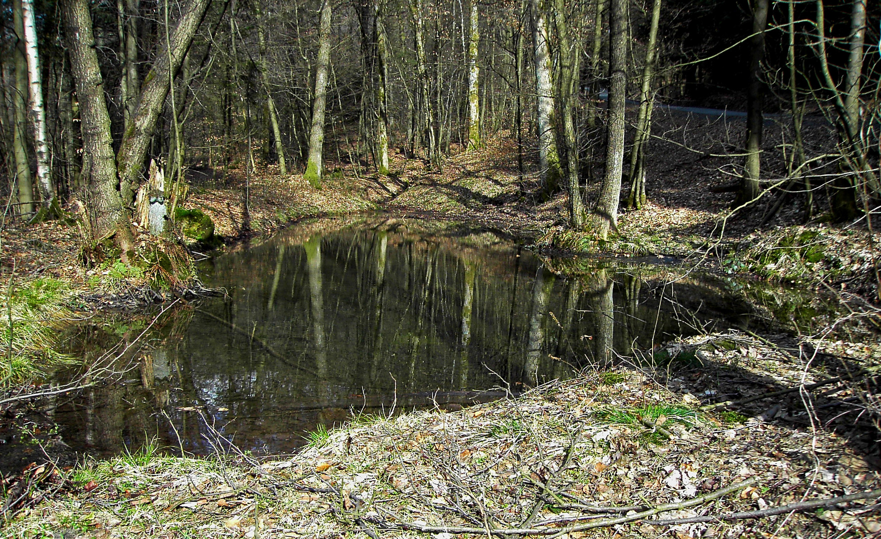 Kleiner Weiher am Kindelsberg (Überbleibsel von der ehemaligen Grube