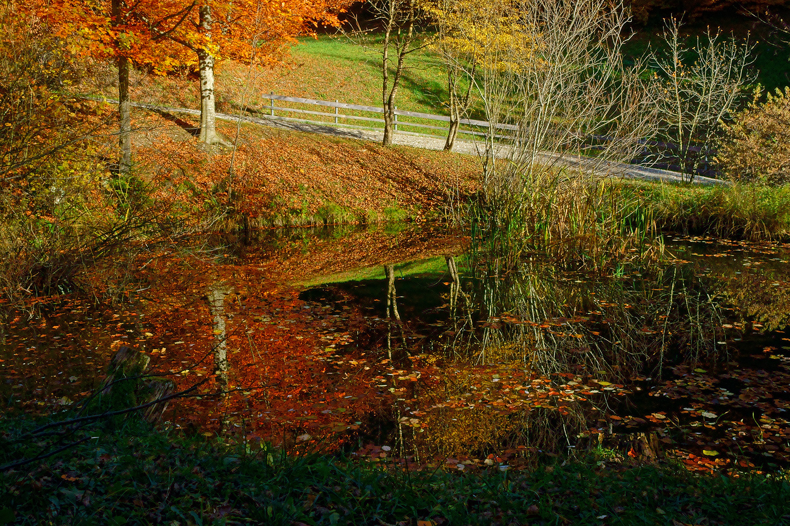 kleiner Weiher herbstlich umrahmt