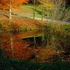 kleiner Weiher herbstlich umrahmt