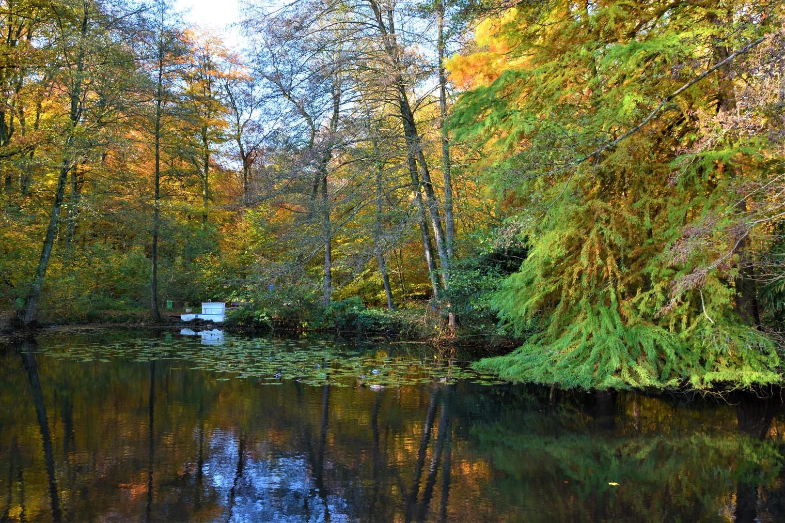 Kleiner Weiher in der Foto & Bild deutschland, europe
