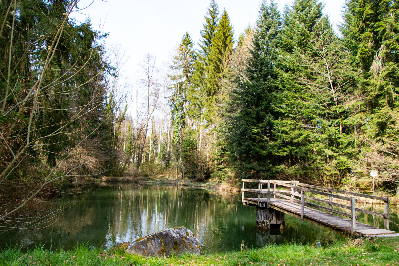 kleiner Weiher mitten im Wald